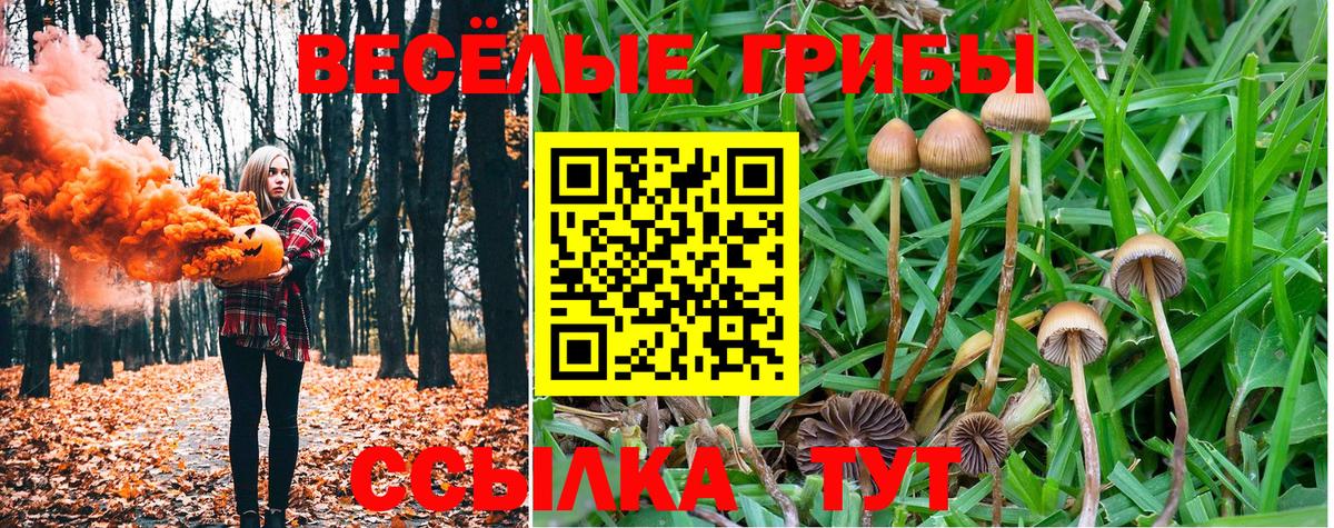 ТГК Лангепас